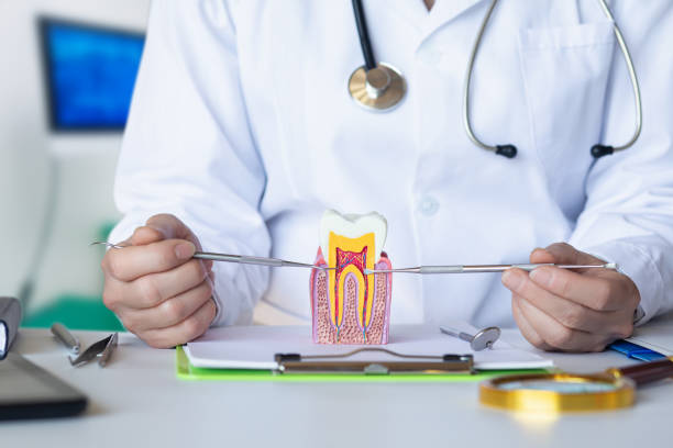Best Emergency Wisdom Teeth Removal in Crest Hl, IL